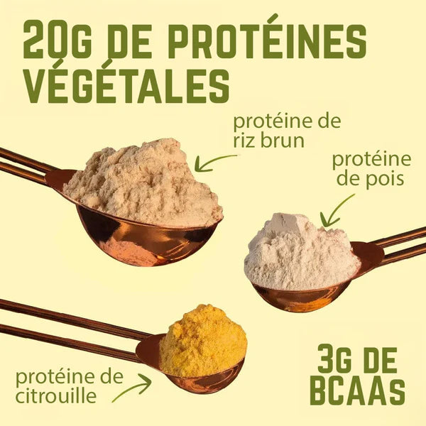 Vita Proteins