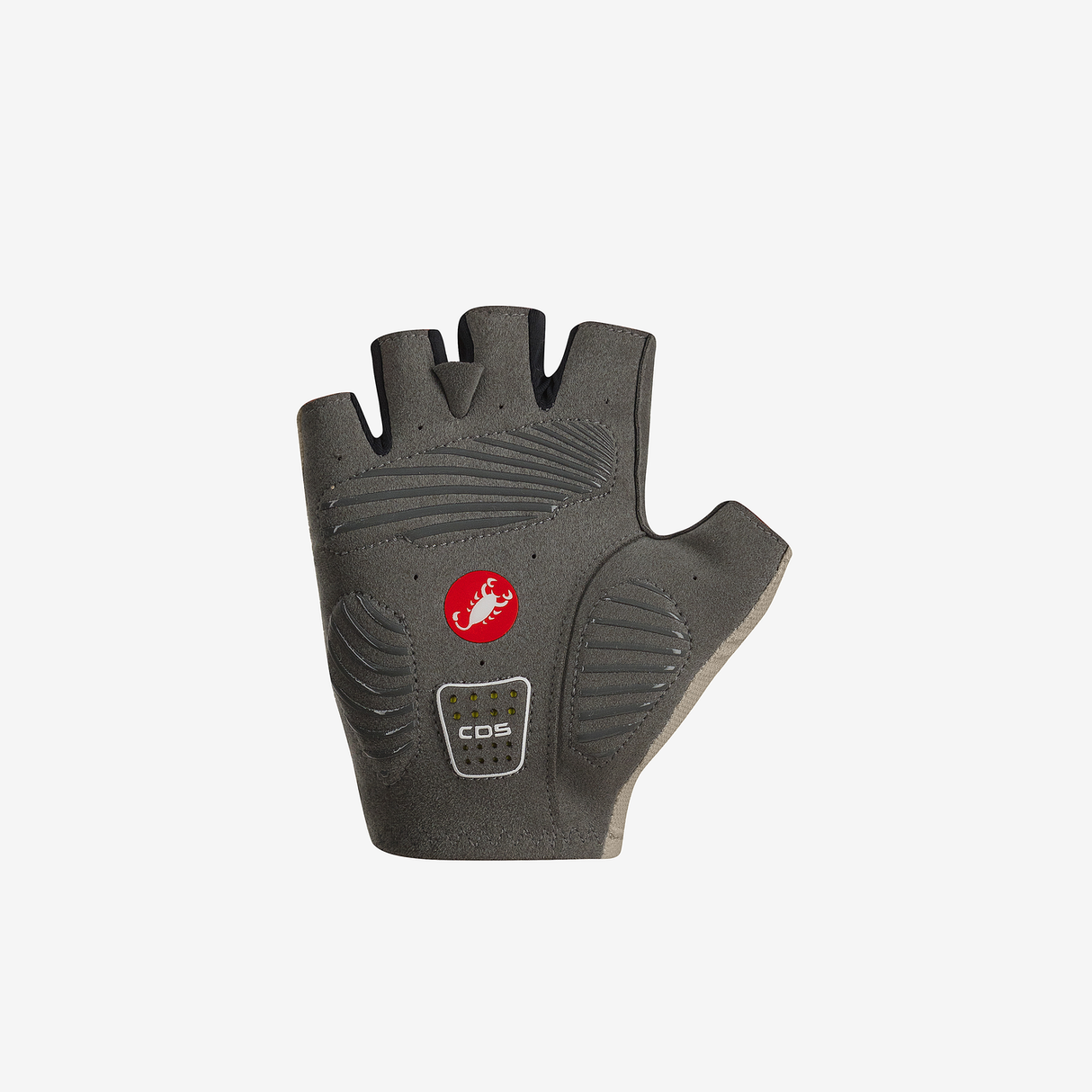 COMPETENCIA CON GUANTES