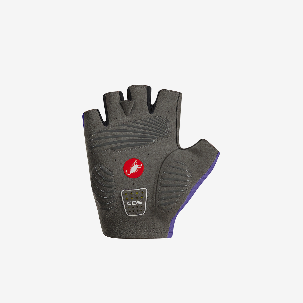 COMPETENCIA CON GUANTES
