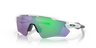 Radar Ev Path  | Oakley